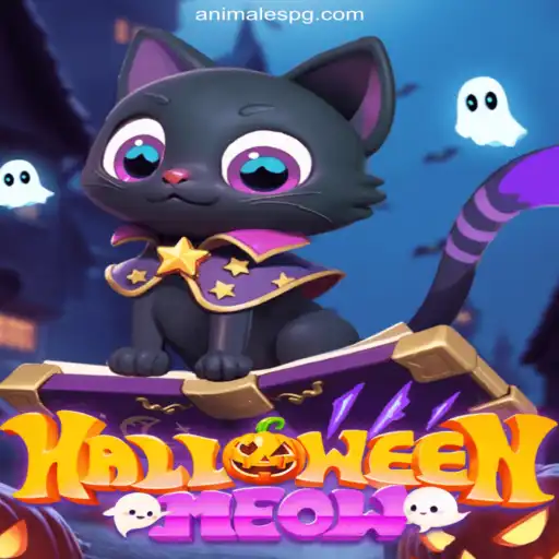 Discover the Enchanting World of HalloweenMeow: A Bewitching Casino Adventure